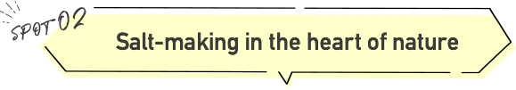 自然の中で塩づくり体験