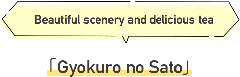 Gyokuro no Sato Beautiful scenery and delicious tea