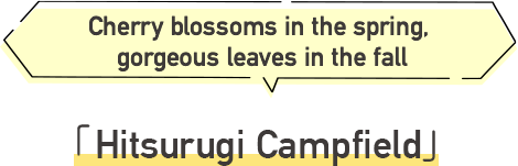 Hitsurugisan Campground Cherry blossoms in the spring, gorgeous leaves in the fall
