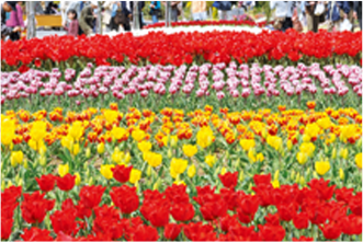 吉田町のトップ画像（左下）