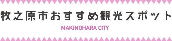 未経験でも見て楽しめる！
