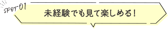 川根本町でお茶文化を楽しむ