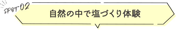 自然の中で塩づくり体験