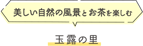 美しい自然の風景とお茶を楽しむ玉露の里