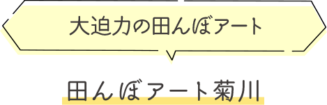 大迫力の田んぼアート田んぼアート菊川