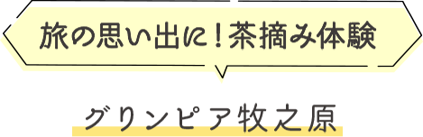 旅の思い出に！茶摘み体験グリンピア牧之原