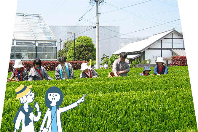 牧之原市のトップ画像（上）