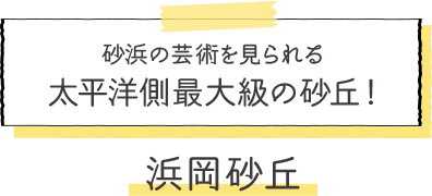 砂浜の芸術を見られる太平洋側最大級の砂丘！浜岡砂丘