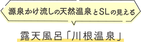 源泉掛け流しの天然温泉とSLの見える露天風呂「川根温泉」