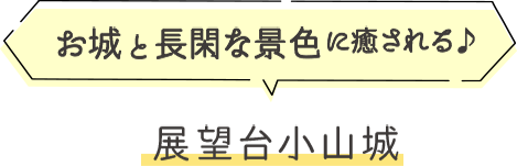 お城と長閑な景色に癒される♪展望台小山城