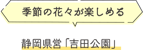 季節の花々が楽しめる静岡県営「吉田公園」