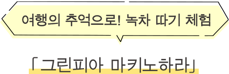 ·여행의 추억으로! 녹차 따기 체험 그린피아 마키노하라