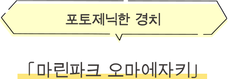 ·마린파크 오마에자키 포토제닉한 경치