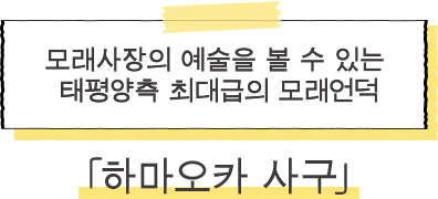 ·하마오카 사구 모래사장의 예술을 볼 수 있는 태평양측 최대급의 모래언덕