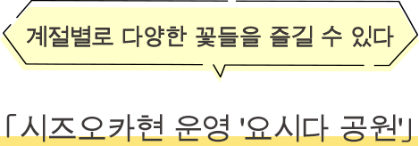 ·시즈오카현 운영 '요시다 공원' 계절별로 다양한 꽃들을 즐길 수 있다