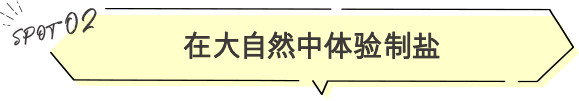 在大自然中体验制盐