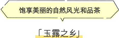 ·玉露之乡 饱享美丽的自然风光和品茶