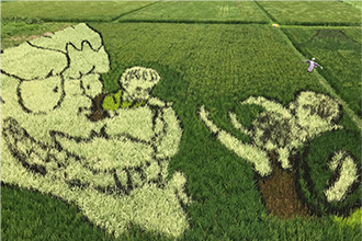 菊川市のトップ画像（右下）