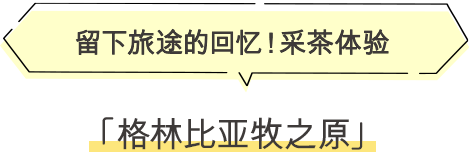 ·留下旅途的回忆！采茶体验 格林比亚牧之原