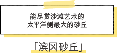 滨冈砂丘 能尽赏沙滩艺术的太平洋侧最大的砂丘