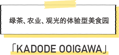 KADODE OOIGAWA 绿茶，农业，观光的体验型美食园