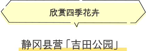 ·静冈县营“吉田公园” 欣赏四季花卉
