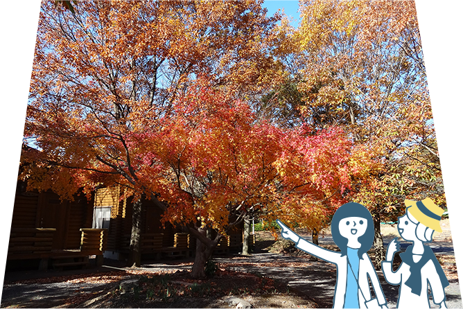 菊川市のトップ画像（上）