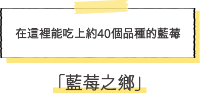 藍莓之鄉 在這裡能吃上約40個品種的藍莓