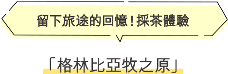 留下旅途的回憶！採茶體驗 格林比亞牧之原