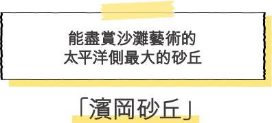 濱岡砂丘 能盡賞沙灘藝術的太平洋側最大的砂丘