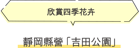 靜岡縣營「吉田公園」 欣賞四季花卉